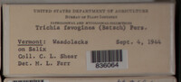 Image Associated With the Occurence